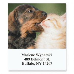 Animal Buddies Select Address Labels  (6 Designs)