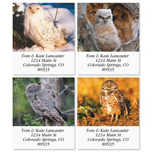 Owls Select Address Labels  (12 Designs)