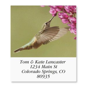 Birds Of North America Select Address Labels  (24 designs)