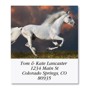 Love Horses Select Address Labels  (6 Designs)