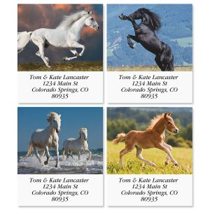 Love Horses Select Address Labels (6 Designs)