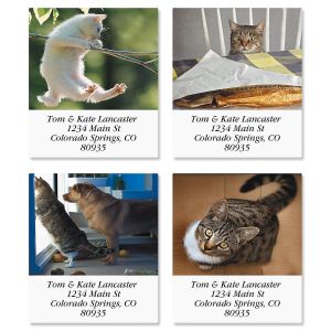 Catitude Select Address Labels  (4 Designs)