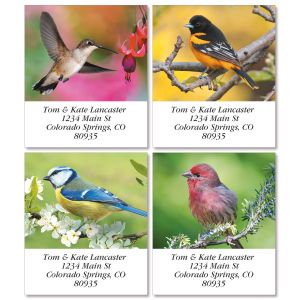 Birds of America Select Address Labels (4 Designs)