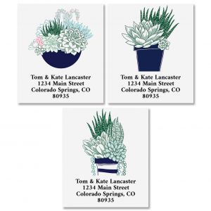 Succulents Select Address Labels (3 Designs)