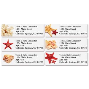Sea Stars & Shells Classic Address Labels (6 Designs)