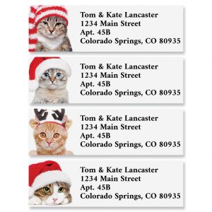 Cats in Hats Classic Address Labels (4 Designs)