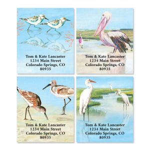 Shore Birds Select Address Labels (4 Designs)
