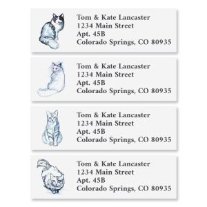Cat Stares Classic Address Labels (4 Designs)
