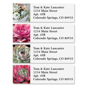 Succulent Colors Classic Address Labels (6 Designs)
