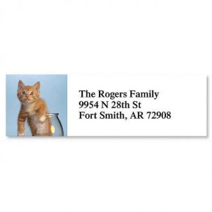 Kitty Kapers Classic Address Labels  (6 Designs)