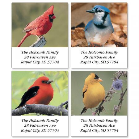 Beautiful Birds Select Address Labels (4 designs)