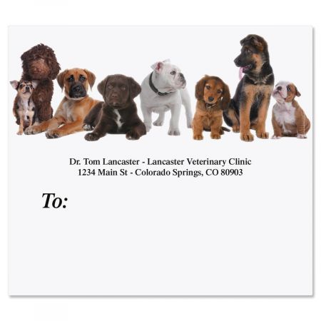 Bow Wow Mailing Package Label
