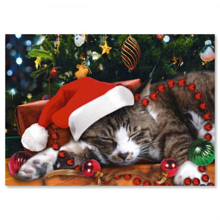 Picture This Christmas Cat Personalized Cards Set Of Cat Personalized Christmas Cards
