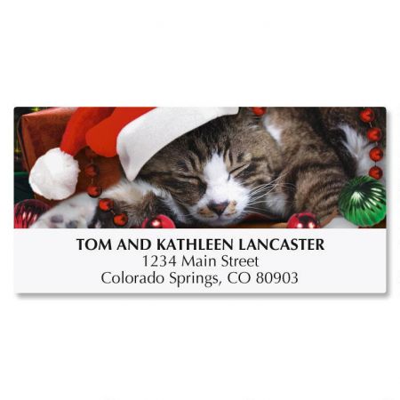 Picture This™; Christmas Cat Christmas Address Labels