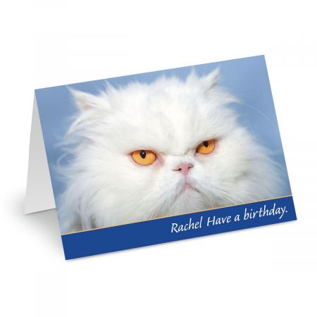 Grouchy Cat Birthday Create-A-Card