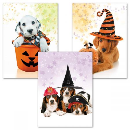 Photo Dog Halloween Cards