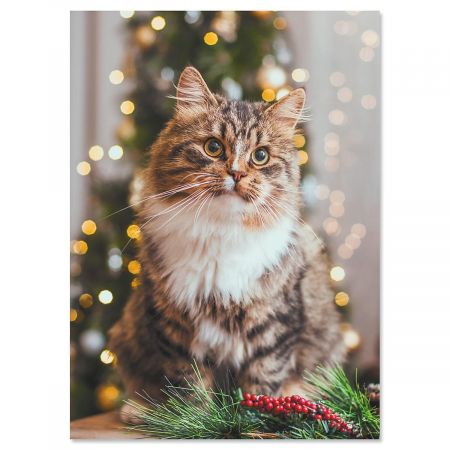 Christmas Cat Nonpersonalized Christmas Cards - Set of 18