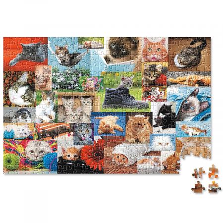 CATtitude Puzzle