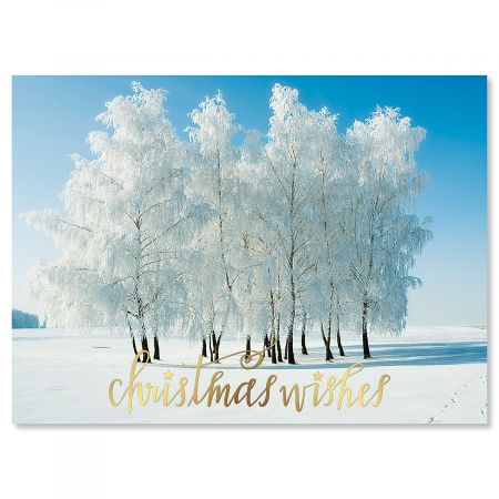 Snowy Stillness Deluxe Foil Christmas Cards