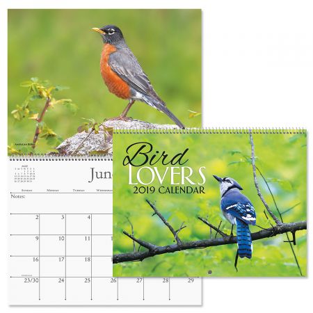 2019 Bird Lovers Wall Calendar
