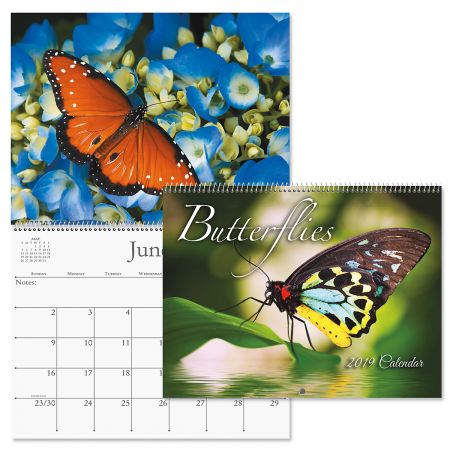 2019 Butterflies Wall Calendar