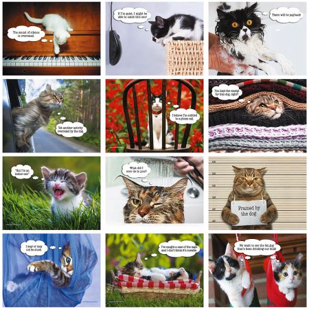 2019 Cattitudes Wall Calendar