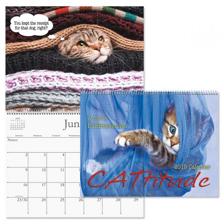 2019 Cattitudes Wall Calendar
