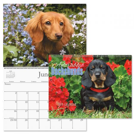 2019 Dachshunds Wall Calendar