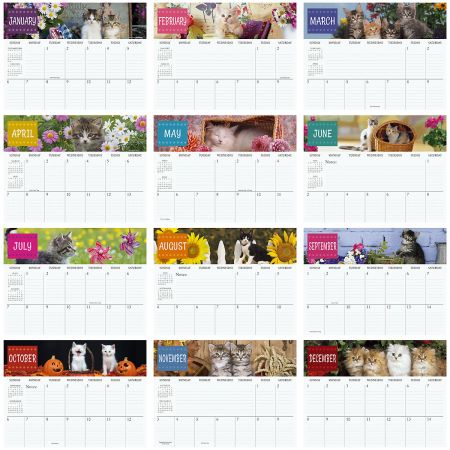 2019 Cats Big Grid Planning Calendar