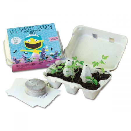 Li'l Sprout Fairy Garden by Current Catalog