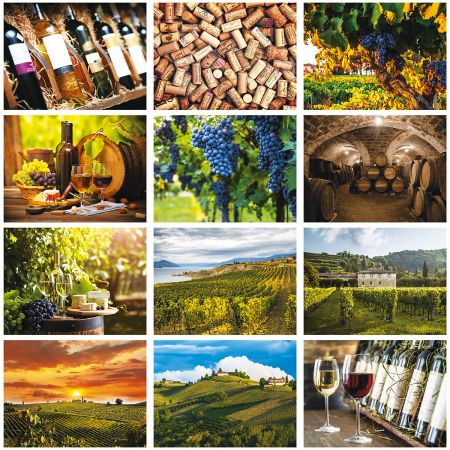 2019 Wine Lovers Wall Calendar