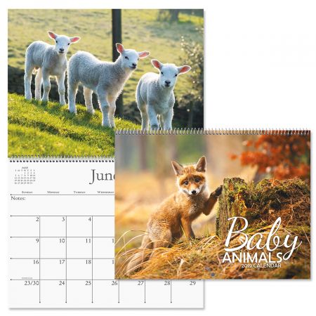 2019 Baby Animals Wall Calendar