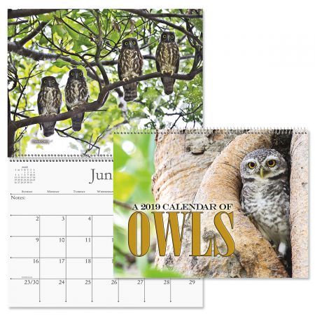 2019 Owls Wall Calendar
