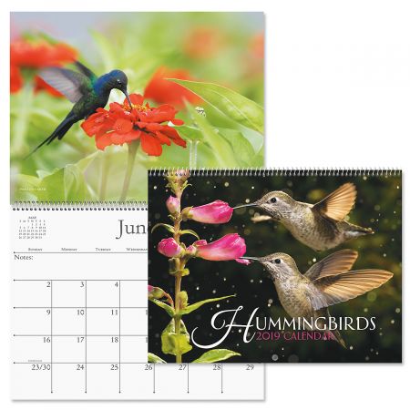 2019 Hummingbirds Wall Calendar