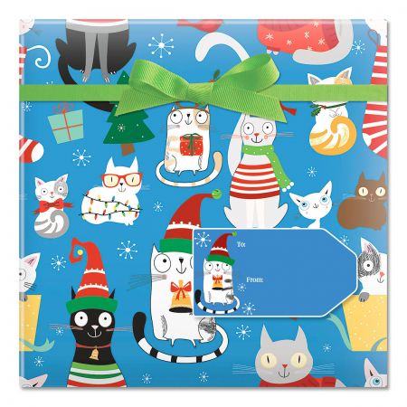 cat gift wrap