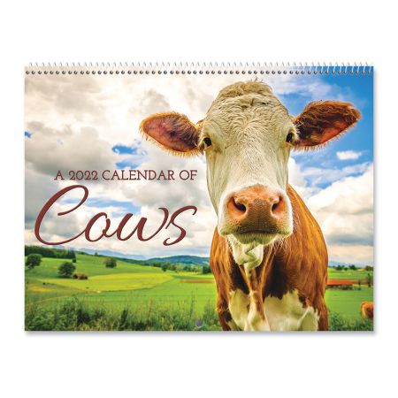 2022 Cow Calendar 2022 Cows Wall Calendar | Current Catalog