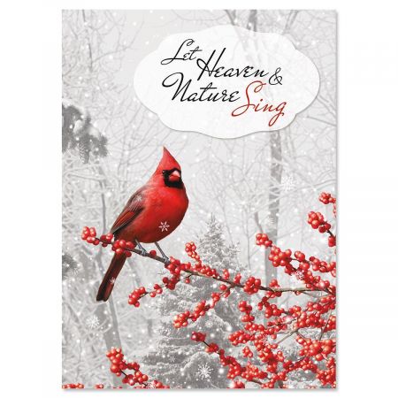 Winterberry Cardinal Nonpersonalized Christmas Cards - Set of 18