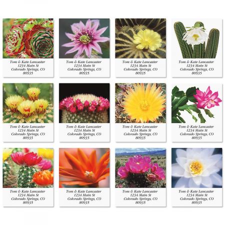 Cactus Flower Select Address Labels (12 Designs)