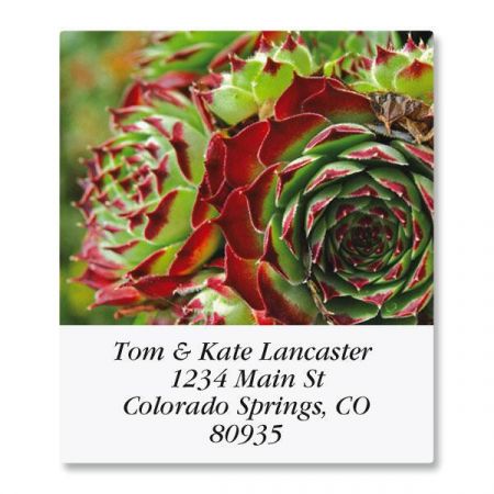 Cactus Flower Select Address Labels (12 Designs)