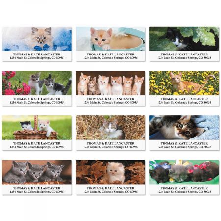 Everyday Cats Deluxe Address Labels (12 Designs)