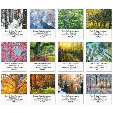 In The Trees Select Address Labels (12 designs)