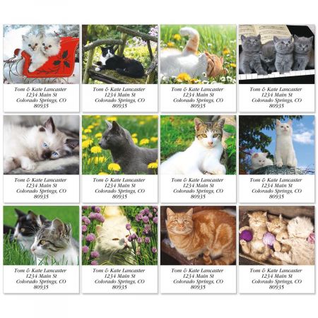 Love Those Cats Select Address Labels (12 Designs)