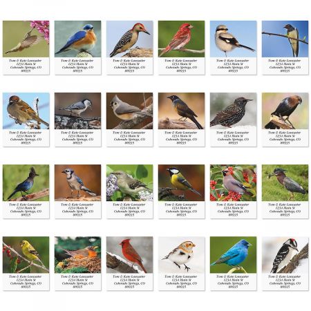 Birds Of North America Select Label | Current Catalog