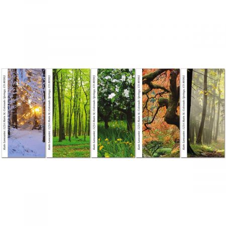 Into The Trees Oversized Address Labels (5 Designs)