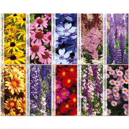 Wild Flora Oversized Address Labels (10 Designs)