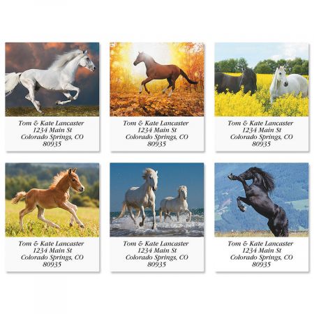 Love Horses Select Address Labels (6 Designs)