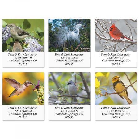 Bird Lover Select Address Labels (6 Designs)