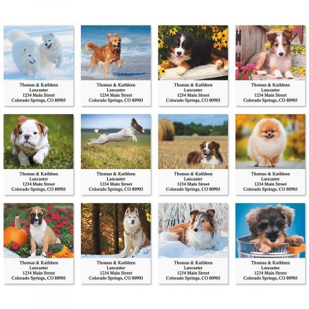 Doggone It! Select Address Labels (12 Designs)