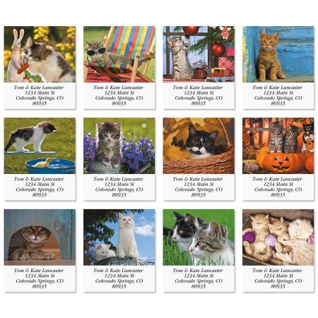 Love of Cats Select Address Labels (12 Designs)