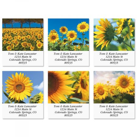 Sunny Sunflowers Select Address Labels (6 Designs)